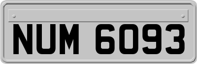 NUM6093