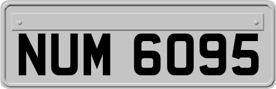 NUM6095