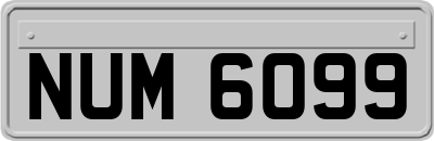 NUM6099