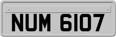 NUM6107