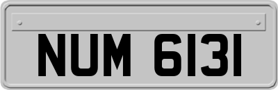 NUM6131