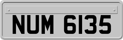 NUM6135