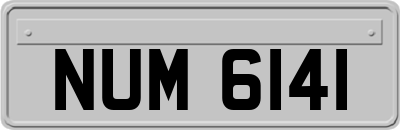 NUM6141