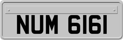 NUM6161