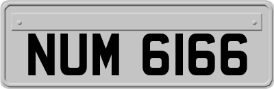 NUM6166