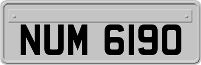 NUM6190
