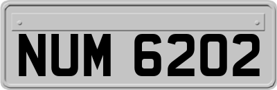 NUM6202