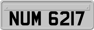 NUM6217