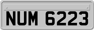 NUM6223