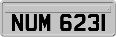 NUM6231