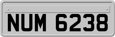 NUM6238