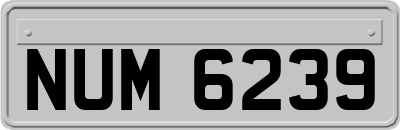 NUM6239