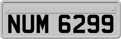 NUM6299