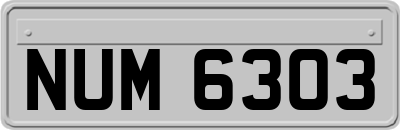 NUM6303
