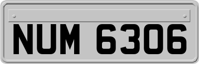 NUM6306