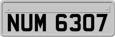 NUM6307