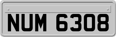NUM6308