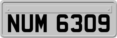 NUM6309