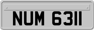 NUM6311