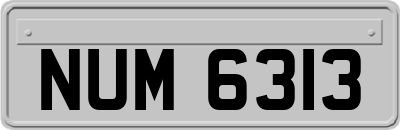 NUM6313