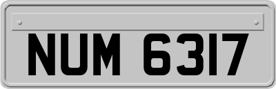 NUM6317