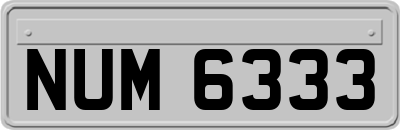 NUM6333