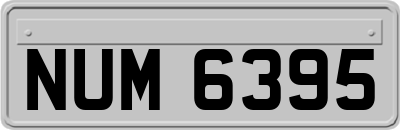 NUM6395
