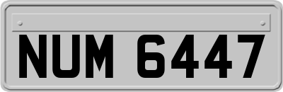 NUM6447