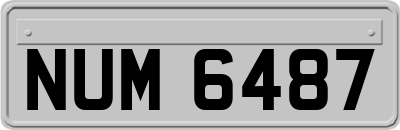 NUM6487
