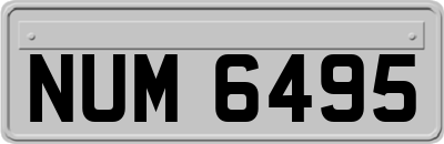 NUM6495