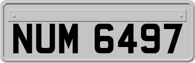 NUM6497