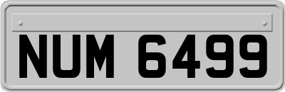 NUM6499