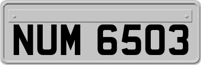 NUM6503