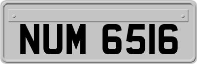 NUM6516