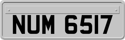 NUM6517