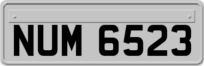 NUM6523