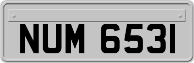 NUM6531