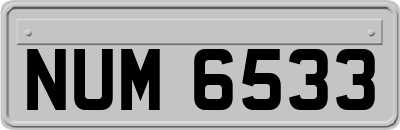 NUM6533
