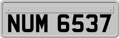 NUM6537