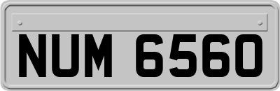 NUM6560