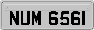 NUM6561