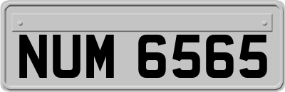 NUM6565