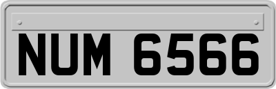 NUM6566