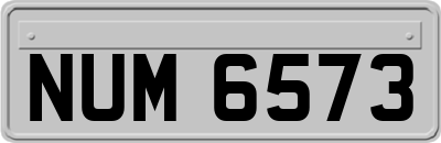 NUM6573