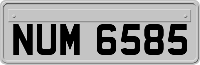 NUM6585