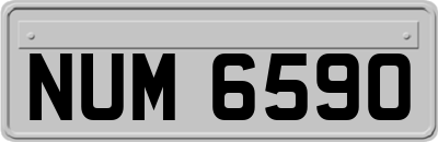 NUM6590