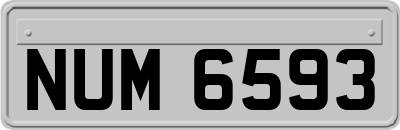 NUM6593