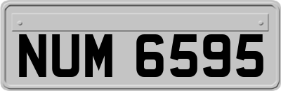 NUM6595