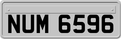 NUM6596
