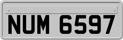 NUM6597